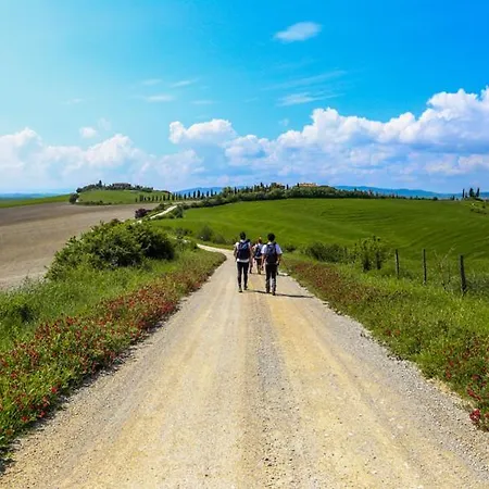 Podere Il Granaio - Crete Senesi - Tuscany Siena Exterior foto