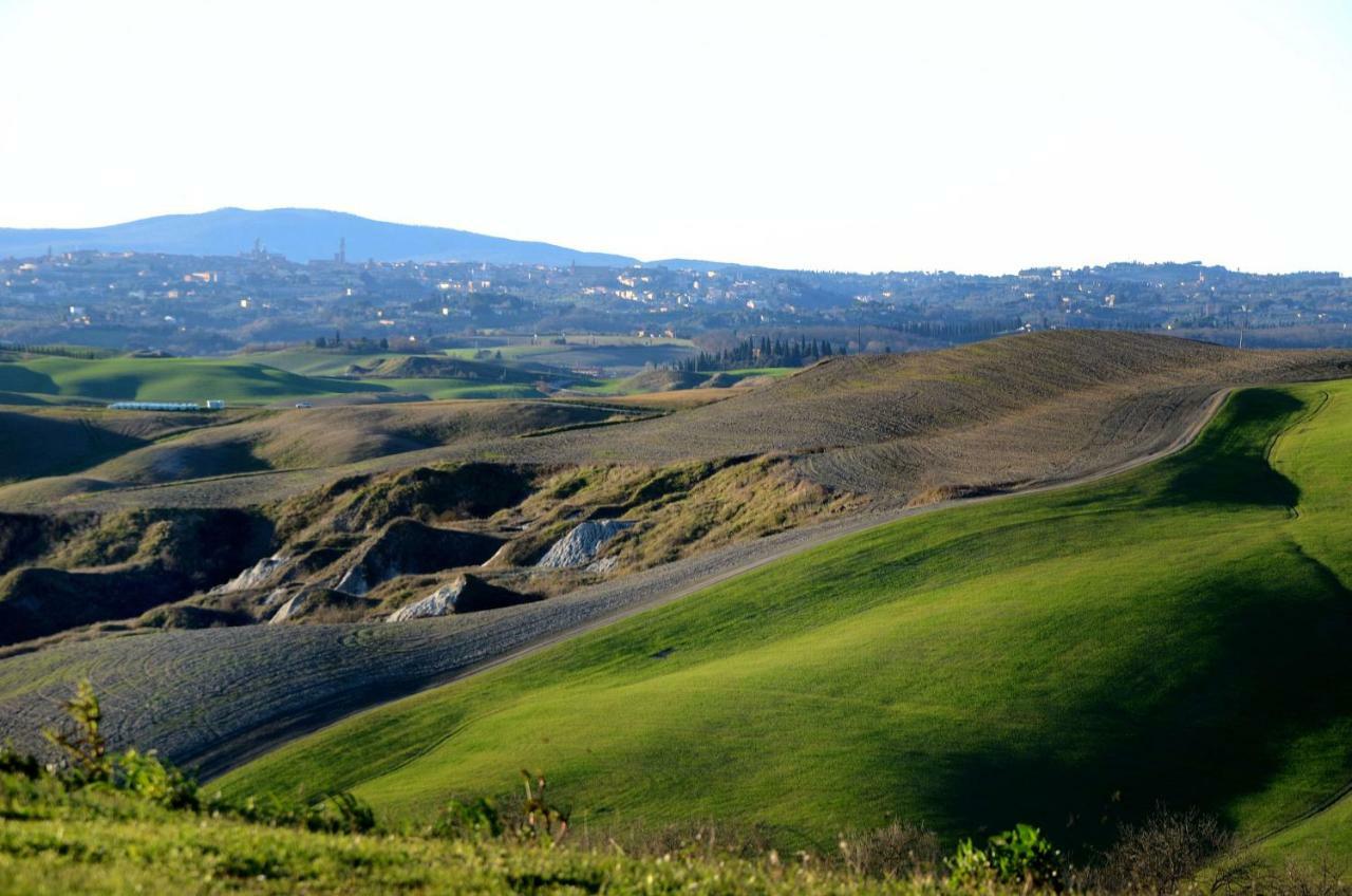 Hébergement de vacances Podere Il Granaio - Crete Senesi - Tuscany Sienne