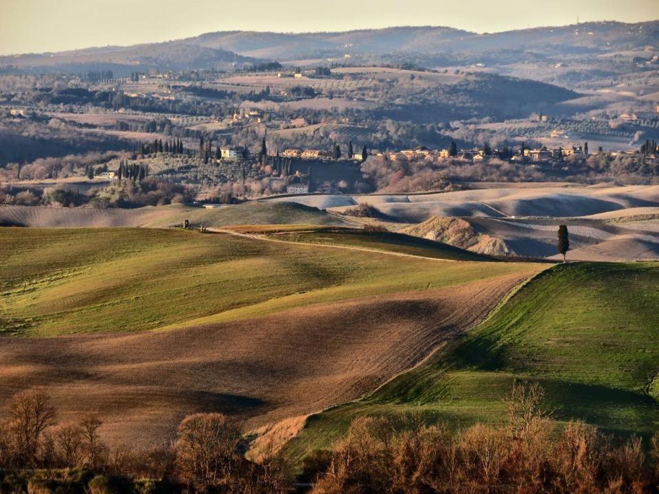 Podere Il Granaio - Crete Senesi - Tuscany Siena