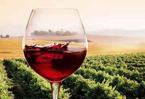 Holiday home Podere Il Granaio - Crete Senesi - Tuscany