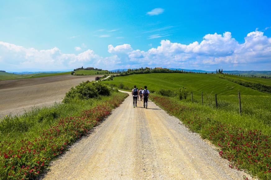Holiday home Podere Il Granaio - Crete Senesi - Tuscany *
