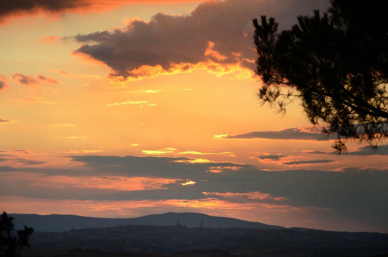 Podere Il Granaio - Crete Senesi - Tuscany Holiday home