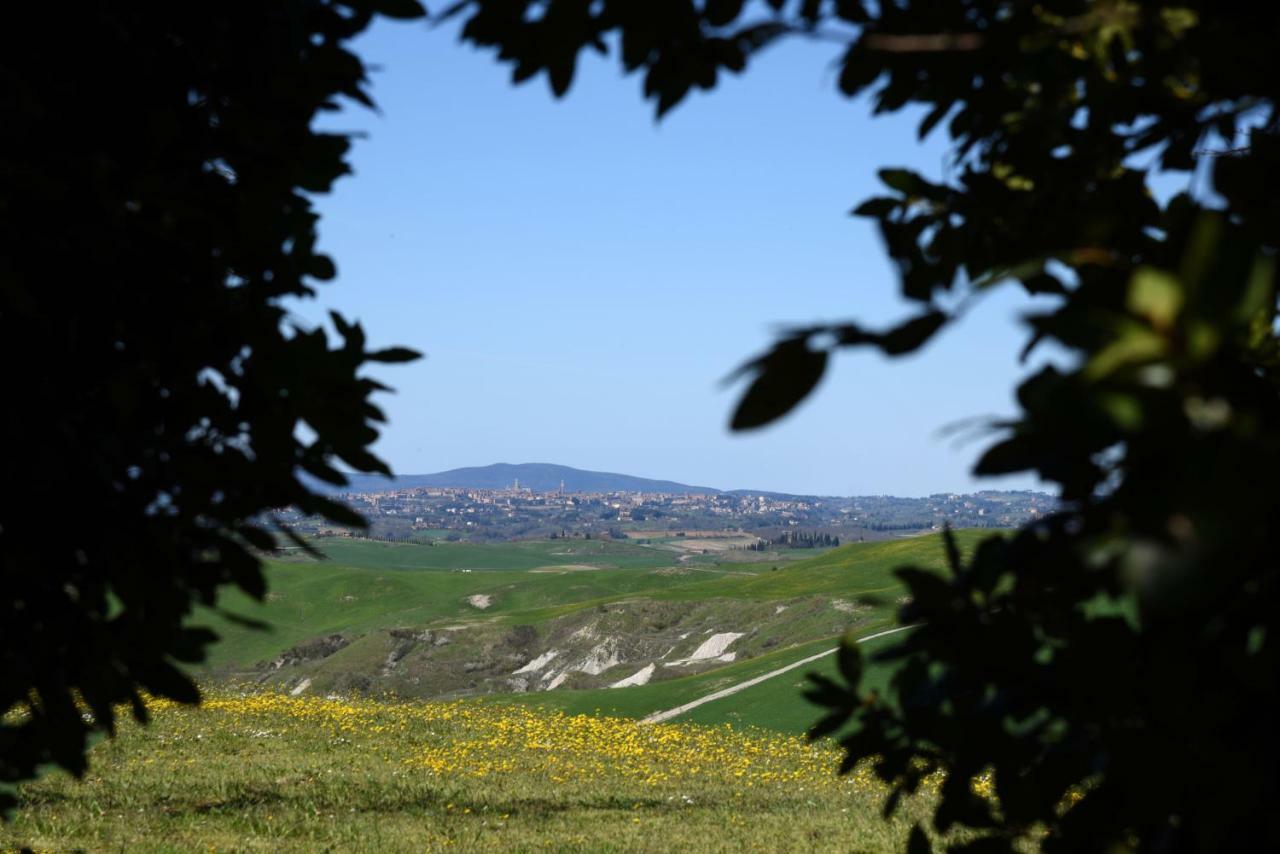 Podere Il Granaio - Crete Senesi - Tuscany Siena